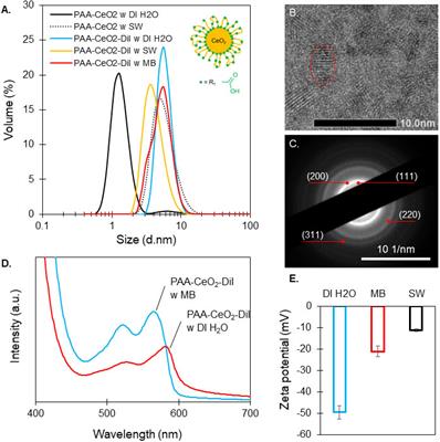 Engineered nanoceria alleviates thermally induced oxidative stress in free-living Breviolum minutum (Symbiodiniaceae, formerly Clade B)